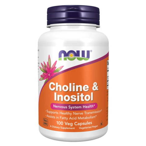 Choline & Inositol 500 mg - NOW Foods