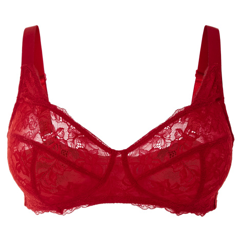 esmara® Dámská krajková podprsenka XXL
