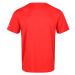 Pánské tričko Regatta FINGAL VI červená