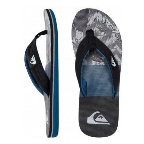 Obuv Quiksilver AQYL 100483 XKSB - šedá