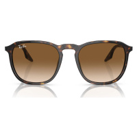 Ray-ban Occhiali da Sole RB2203 902/51 Hnědá