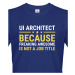 Pánské tričko pro UI architekty - dokonalý dárek pro IT specialisty