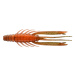Daiwa Gumová Nástraha Prorex Urban Shrimp Orange Peeler Počet kusů: 8ks, Délka cm: 6cm