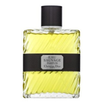 Dior (Christian Dior) Eau Sauvage Parfum 2017 parfémovaná voda pro muže 100 ml