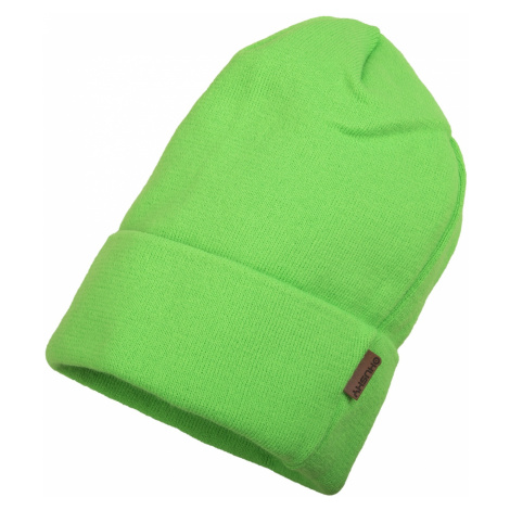 Husky Cap 20, zelená Pánská čepice