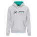 Mercedes AMG Petronas pánská mikina s kapucí logo sweatshirt grey F1 Team 2022