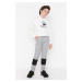 Trendyol Gray Stripe Detailed Boy Knitted Sweatpants