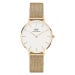 Daniel Wellington Petite 32 Evergold YG White DW00100348