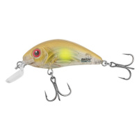 Salmo wobler rattlin hornet shallow runner clear ayu - 3,5 cm