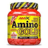 Amix Nutrition Amix Whey Amino Gold 360 tablet