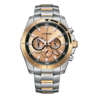 Citizen Quartz AN8204-59X