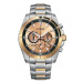 Citizen Quartz AN8204-59X