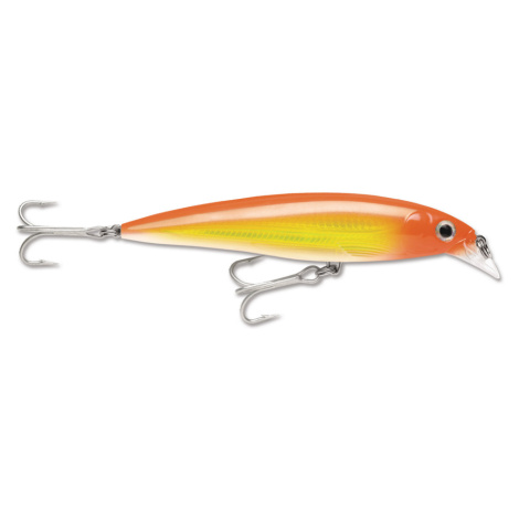 Wobler Rapala X-Rap Saltwater 14cm Barva: HH