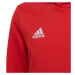Dětské fotbalové tričko Entrada 22 Hoody Jr H57566 - Adidas