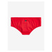 Everyday Brief Plavky Quiksilver