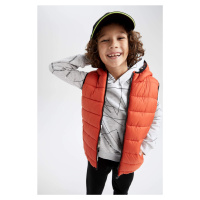 DEFACTO Boys Double-Sided Hooded Inflatable Vest