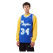 Mitchell & Ness NBA Swingman Los Angeles Lakers Shaquille O'Neal jersey M SMJYAC18013-LALROYA96S