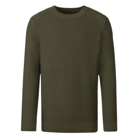 LIVERGY® Pánský svetr (zelená)