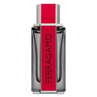 Salvatore Ferragamo - Red Leather Parfémová voda 100 ml male