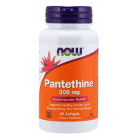 Panthetin 300 mg - NOW Foods