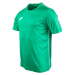 Lotto DELTA TEE Pánské sportovní triko, zelená, velikost