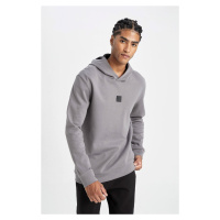 DEFACTO Fit Standard Fit Hooded Sportsman Sweatshirt