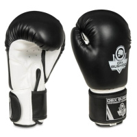 Boxerské rukavice DBX BUSHIDO ARB-407a Name: ARB-407A 16 OZ. BOXERSKÉ RUKAVICE DBX BUSHIDO, Size