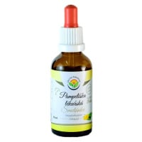 Salvia Paradise Pampeliška lékařská AF tinktura 50 ml