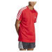 adidas 3-STRIPES TEE Pánské tričko, červená, velikost