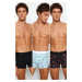 Trendyol 3-Piece Multi-Colored Animal Patterned-Plain Pack Cotton Couple Boxers