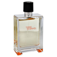 Hermes Terre D´ Hermes - EDT TESTER 100 ml