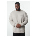 Trendyol Grey Oversize/Wide Cut Text Printed Plus Size Sweatshirt