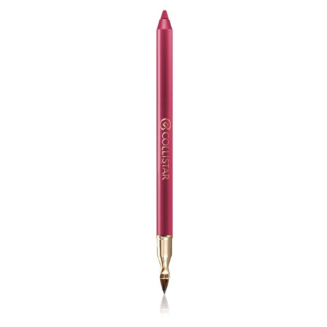 Collistar Professional Lip Pencil dlouhotrvající tužka na rty odstín 113 Autumn Berry 1,2 g