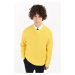 Svetr manuel ritz sweater žlutá