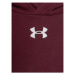 Mikina Under Armour