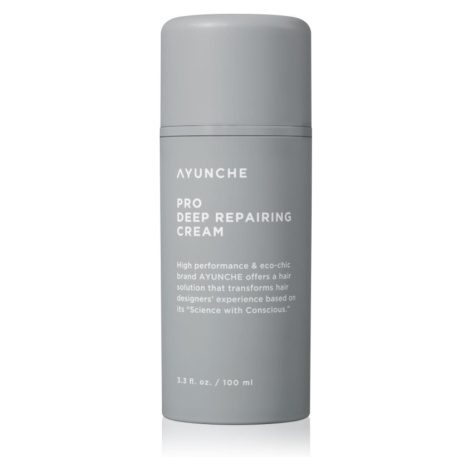 AYUNCHE Pro Deep Repairing Cream hloubkově regenerační krém pro poškozené vlasy 100 ml