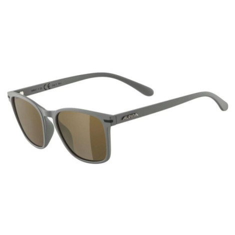 Alpina Sports YEFE Sluneční brýle, tmavě šedá, velikost