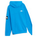 The North Face Fine Alpine Hoodie