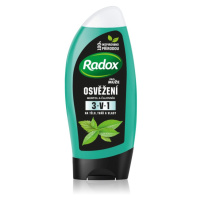 Radox Men Feel Strong sprchový gel a šampon 2 v 1 Mint & Tea Tree 225 ml