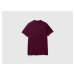 Benetton, Dark Purple Regular Fit Polo