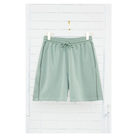 Trendyol Mint Regular/Normal Cut More Sustainable Contrast Stitch Detail 100% Cotton Shorts