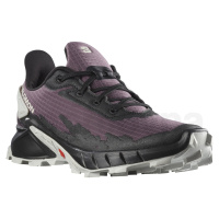 Obuv Salomon Alphacross 4 W L41725200 - moonscape/black/lunar rock