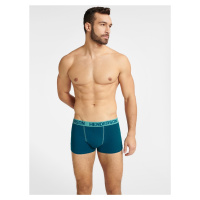 Henderson 40652 Fern A'2 S-3XL multicolor mlc boxer shorts