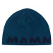 Čepice Mammut Logo Beanie Barva: modrá/světle modrá