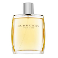 Burberry For Men toaletní voda pro muže 100 ml