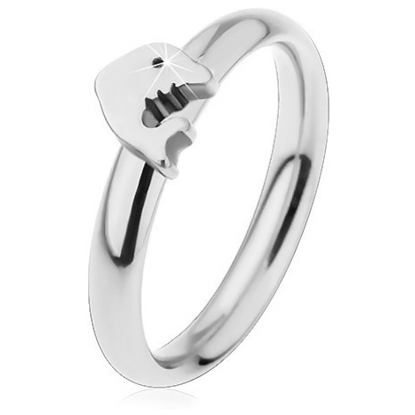 Prsten z chirurgické oceli, stříbrný odstín, malý lesklý delfín