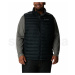 Columbia Powder Lite™ Vest Man 1748032010 - black