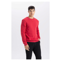 DEFACTO Red Regular Fit Crew Neck Thick Basic Plain Sweatshirt