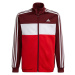 Tepláková souprava adidas Essentials Jr HE9317