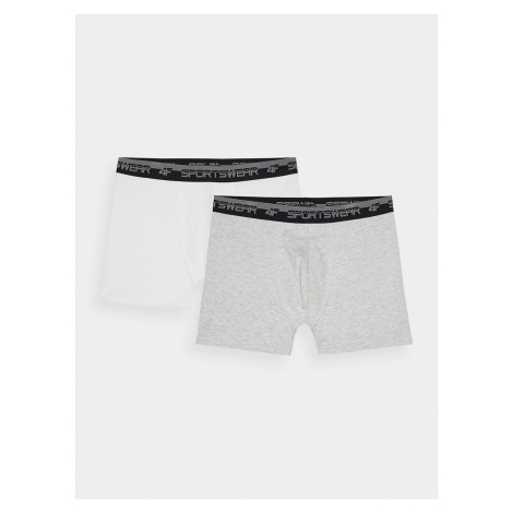 Pánské spodní prádlo boxerky 4F - šedé/bílé